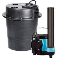 Pompe imerg&eacute;e s&eacute;rie WRS, 45 gal./min, 115 V, 9 A, 1/3 CV Oxford Builders Supplies Inc