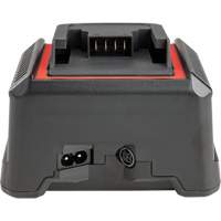 2.5 Ah & 5.0 Ah Battery Charger, 120 V, Lithium-Ion Oxford Builders Supplies Inc