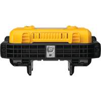 Lampe d'&eacute;clairage direct compact 12V/20V Max, DEL, 2000 Lumens Oxford Builders Supplies Inc