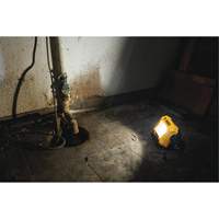 Lampe d'&eacute;clairage direct compact 12V/20V Max, DEL, 2000 Lumens Oxford Builders Supplies Inc