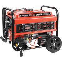 Multi-Fuel Generators