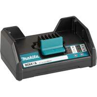 Chargeur de bloc-pile standard DC64WA, 64 V, Lithium-ion Oxford Builders Supplies Inc