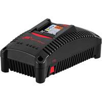 IQV&reg;40 Battery Charger, 40 V, Lithium-Ion Oxford Builders Supplies Inc