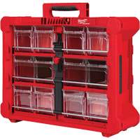 Organisateur PACKOUT &agrave; bac inclinable, 15-1/5" x 19-7/10" x 6-7/10", Noir/Rouge Oxford Builders Supplies Inc