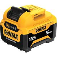 Bloc-pile MAX*, Lithium-ion, 12 V, 5 Ah Oxford Builders Supplies Inc