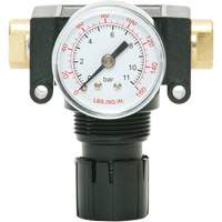 D&eacute;tendeur &agrave; piston en ac&eacute;tal MODULAIR 200, 1/4" NPT, PSI max. de 150 psi, Canalisation/Modulaire Oxford Builders Supplies Inc