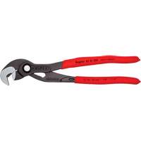 Pince Raptor, 10" Oxford Builders Supplies Inc