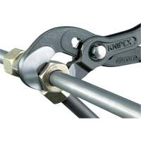 Pince Raptor, 10" Oxford Builders Supplies Inc