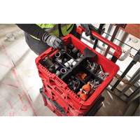 PACKOUT Low-Profile Crate, 15" x 18-5/8" x 6-5/8", Black/Red Oxford Builders Supplies Inc