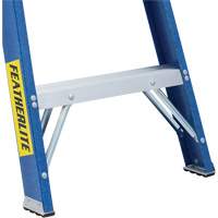 Industrial Duty Stepladders (6300 Series), 4', Fibreglass, 250 lbs. Capacity, Type 1 Oxford Builders Supplies Inc