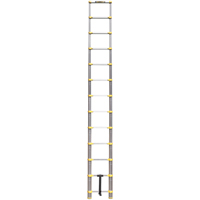&eacute;chelle t&eacute;lescopique, 3' - 12', Aluminium, Capacit&eacute; de 250 lb, Type 1 Oxford Builders Supplies Inc