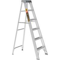 Step Ladder, 6', Aluminum, 225 lbs. Capacity, Type 2 Oxford Builders Supplies Inc