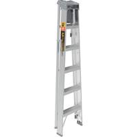 Step Ladder with Paint Tray, 6', Aluminum, 225 lbs. Capacity, Type 2 Oxford Builders Supplies Inc