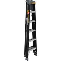 Step Ladder with Paint Tray, 6', Fibreglass, 250 lbs. Capacity, Type 1 Oxford Builders Supplies Inc