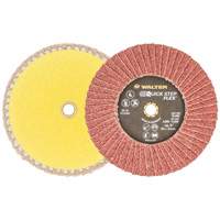 QUICK-STEP FLEX, 5" x Type 29, 40 Grit, Aluminum Oxide Oxford Builders Supplies Inc