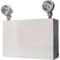 Emergency Lighting