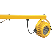 Heavy-Duty Loading Dock Lights, 24" Arm, 300 W, LED Lamp, Metal Oxford Builders Supplies Inc