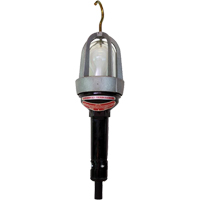 Baladeuses pour emplacements dangereux, DEL, 20 W, 2400 Lumens Oxford Builders Supplies Inc