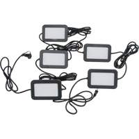 LED String Work Lights, 5 Lights, 50' L, Plastic Housing Oxford Builders Supplies Inc