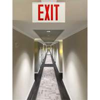 Exit Sign, LED, Battery Operated/Hardwired, 12-1/5" L x 7-1/2" W, English Oxford Builders Supplies Inc
