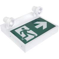Enseigne d'homme qui court avec &eacute;clairage de s&eacute;curit&eacute;, DEL, &agrave; piles/&agrave; raccordement fixe, 12-1/10" lo x 11" la, Pictogramme Oxford Builders Supplies Inc