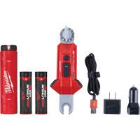Lampe USB polyvalente REDLITHIUM pour perche isolante, DEL, Piles Rechargeable, Aluminium Oxford Builders Supplies Inc