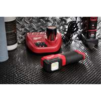 Lampe &agrave; &eacute;chantillonner les couleurs pour la peinture et lesth&eacute;tique automobile M12, DEL, 1000 Lumens Oxford Builders Supplies Inc