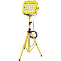 Diffuseur anti-d&eacute;flagration avec tr&eacute;pied, DEL, 40 W, 5600 lumens, Boîtier en Aluminium Oxford Builders Supplies Inc