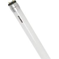 Ampoule DEL en verre givr&eacute; SubstiTUBE, 12 W, T8, 5000 K, 48" l Oxford Builders Supplies Inc