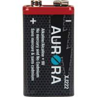 Industrial Alkaline Batteries, 9 V Oxford Builders Supplies Inc