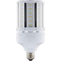 Ampoule HID de remplacement s&eacute;lectionnable ULTRA LED, E26, 18 W, 2700 lumens Oxford Builders Supplies Inc