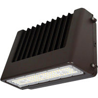 Luminaire mural, DEL, 120 V, 80 W, 6,5" ha x 9,3" la x 14,4" p Oxford Builders Supplies Inc
