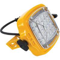 T&ecirc;te de projecteur de quai de 50 W et 7000 lumens Oxford Builders Supplies Inc