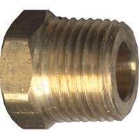 Hex Head Cored Plug, Pipe, 1/8" Dia., Brass Oxford Builders Supplies Inc